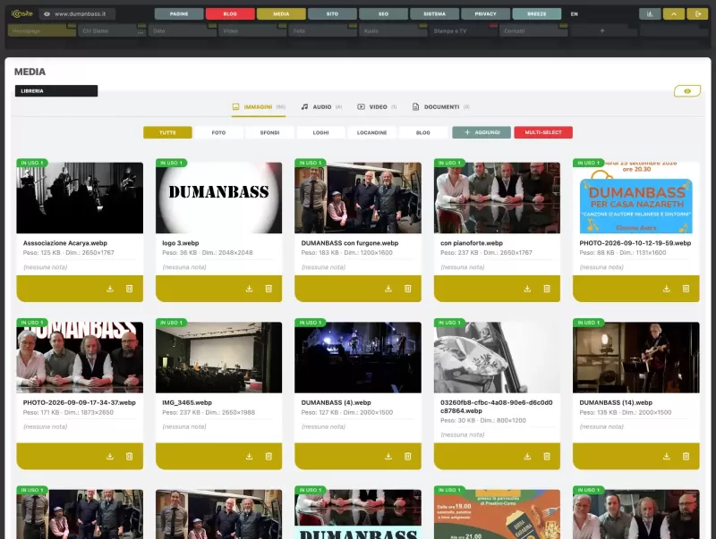 006_media.webp